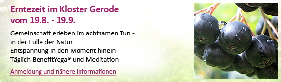 Aroniaernte 2025