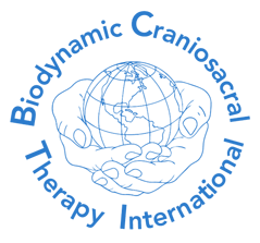 BCTI-Logo