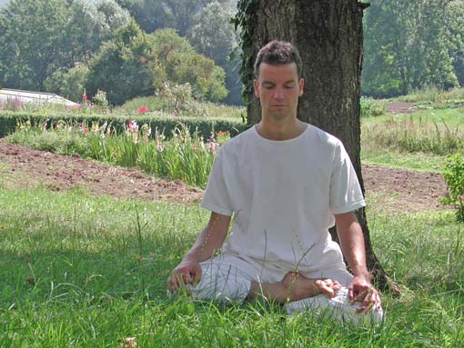 Work & Study mit Schwerpunkt Meditation