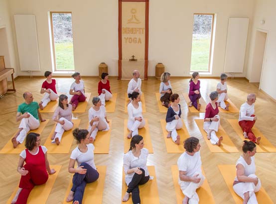Teilnehmende einer Yogalehrer-Ausbildung in Ardha Matsyendrasana