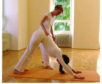 Benefit Yoga<sup>®</sup> - Hund